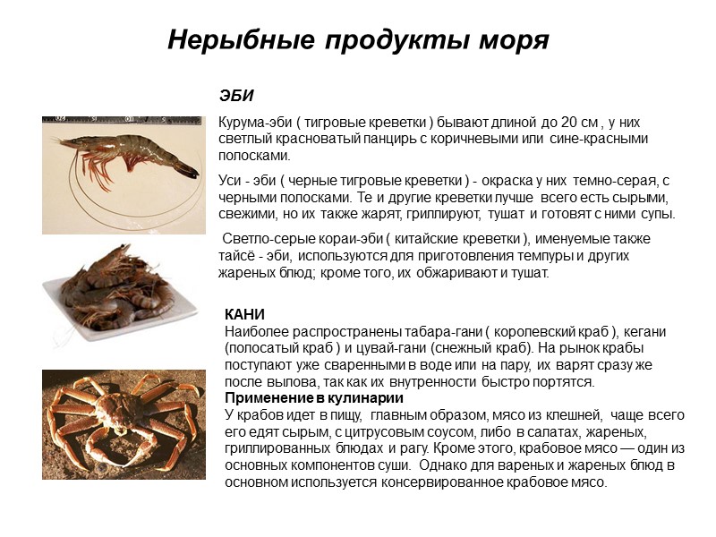 Нерыбные продукты моря  ЭБИ Курума-эби ( тигровые креветки ) бывают длиной до 20
